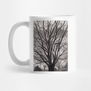 Evening Trees Mug